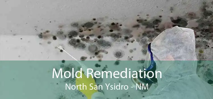 Mold Remediation North San Ysidro - NM