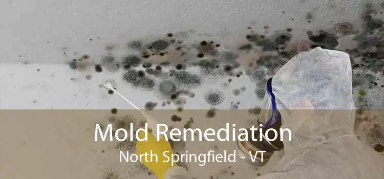 Mold Remediation North Springfield - VT