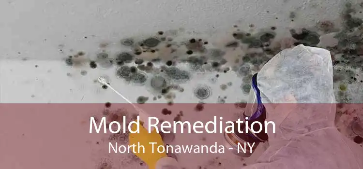 Mold Remediation North Tonawanda - NY
