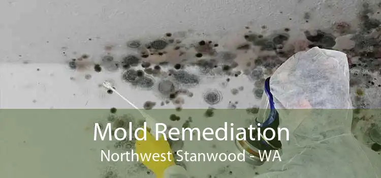 Mold Remediation Northwest Stanwood - WA