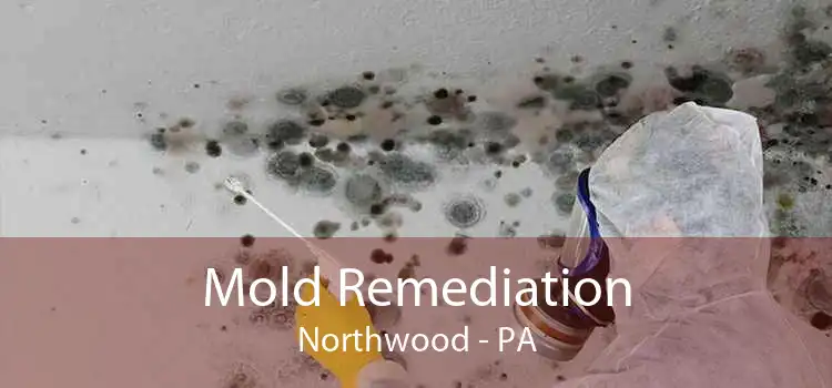 Mold Remediation Northwood - PA