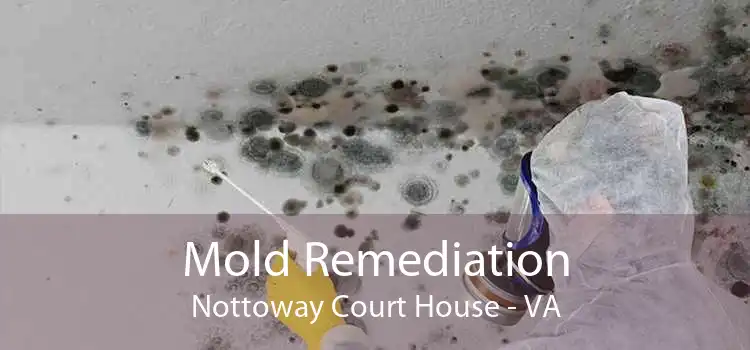 Mold Remediation Nottoway Court House - VA