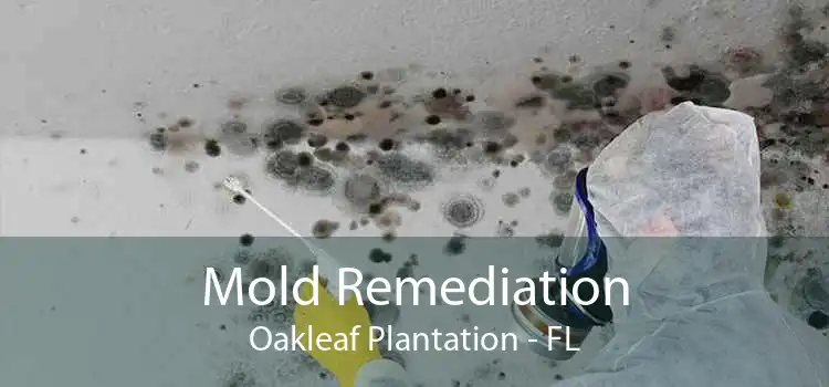 Mold Remediation Oakleaf Plantation - FL