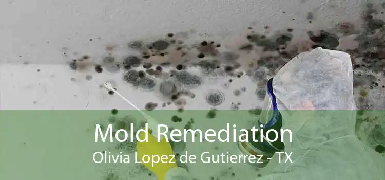 Mold Remediation Olivia Lopez de Gutierrez - TX