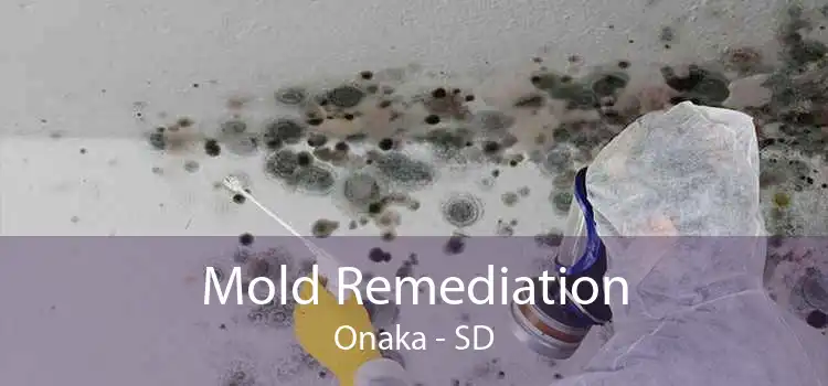 Mold Remediation Onaka - SD