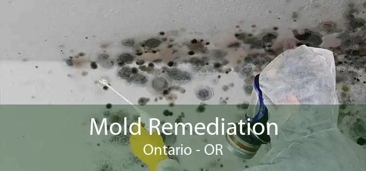 Mold Remediation Ontario - OR