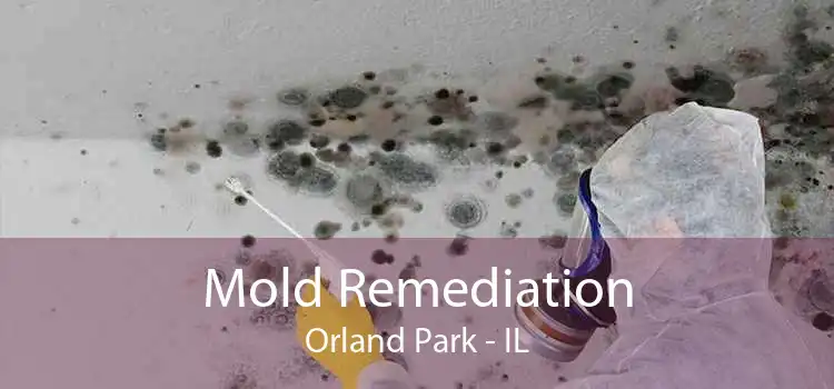 Mold Remediation Orland Park - IL