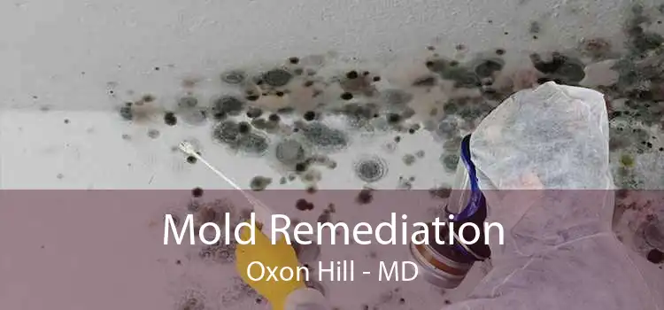 Mold Remediation Oxon Hill - MD