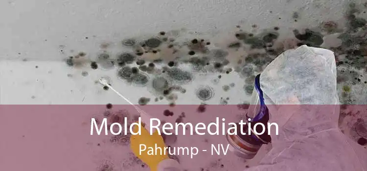 Mold Remediation Pahrump - NV