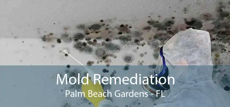 Mold Remediation Palm Beach Gardens - FL