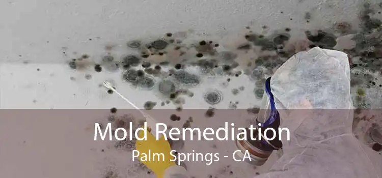 Mold Remediation Palm Springs - CA