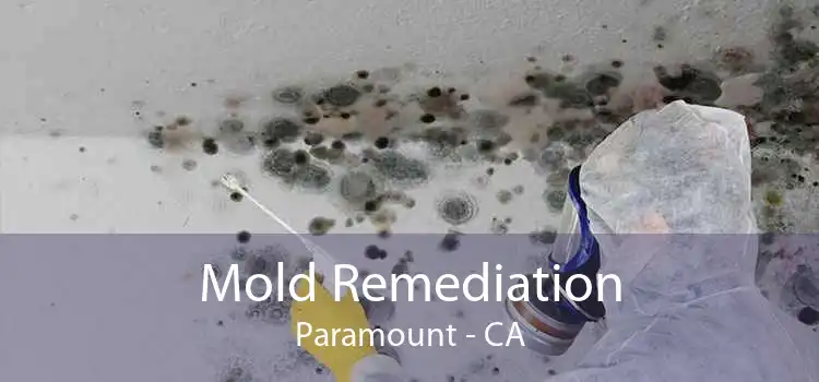 Mold Remediation Paramount - CA