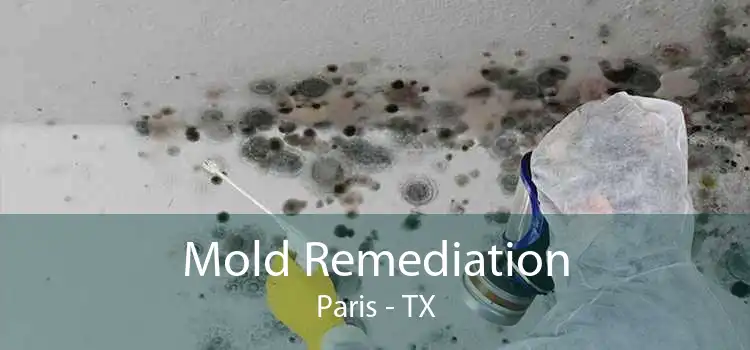 Mold Remediation Paris - TX