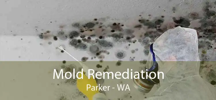 Mold Remediation Parker - WA