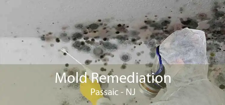 Mold Remediation Passaic - NJ