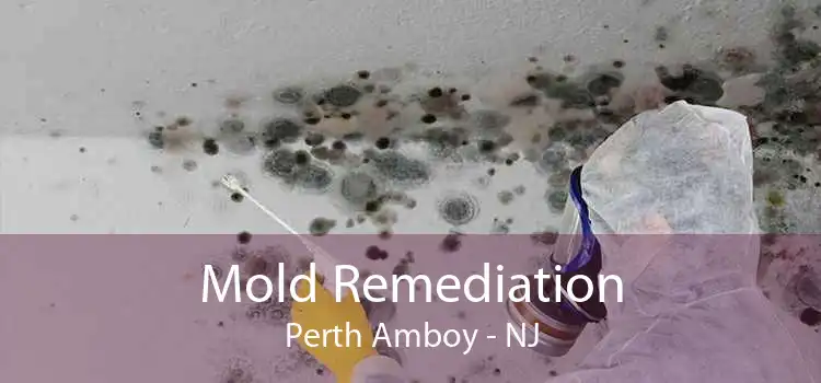 Mold Remediation Perth Amboy - NJ