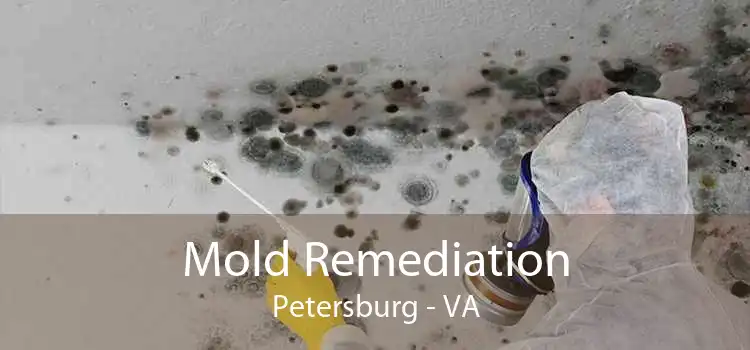 Mold Remediation Petersburg - VA