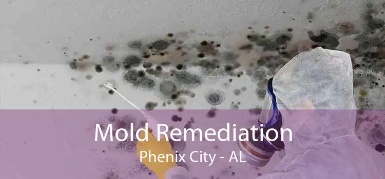 Mold Remediation Phenix City - AL