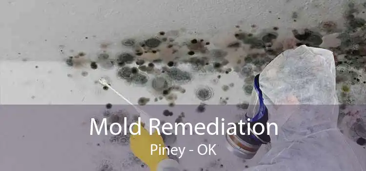Mold Remediation Piney - OK