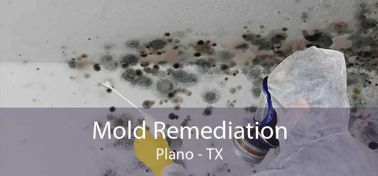 Mold Remediation Plano - TX