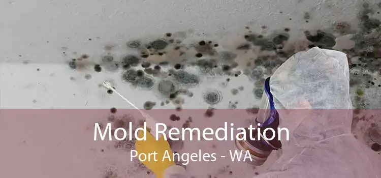 Mold Remediation Port Angeles - WA