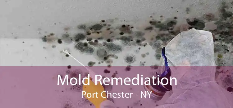 Mold Remediation Port Chester - NY