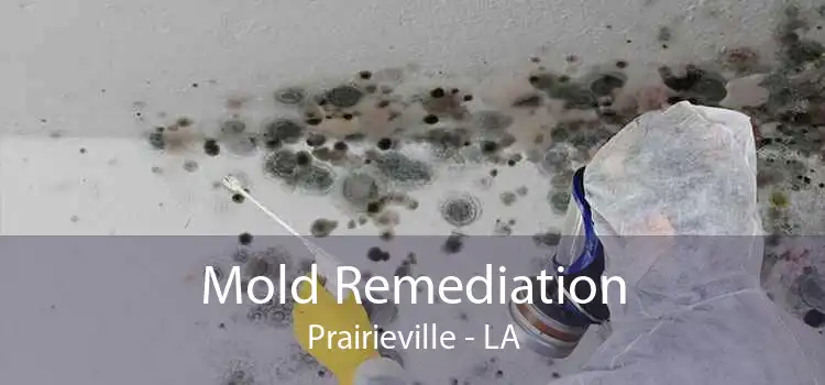 Mold Remediation Prairieville - LA