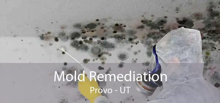 Mold Remediation Provo - UT