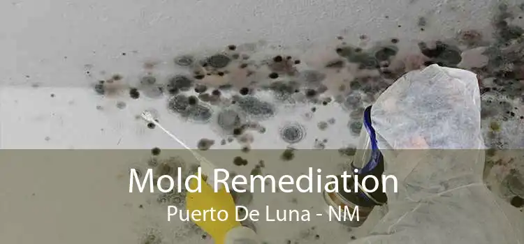 Mold Remediation Puerto De Luna - NM