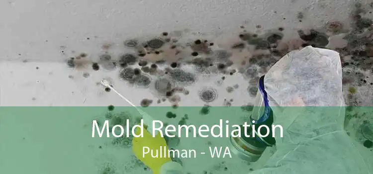 Mold Remediation Pullman - WA
