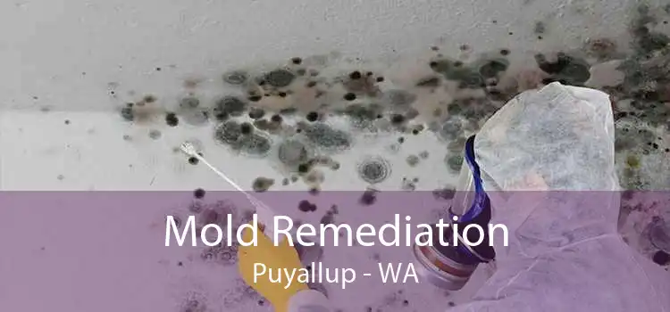 Mold Remediation Puyallup - WA