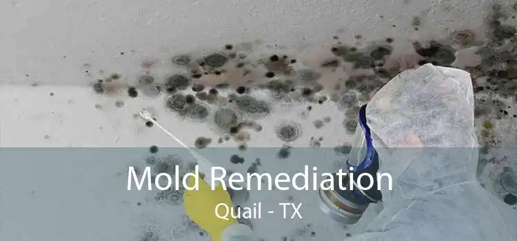 Mold Remediation Quail - TX