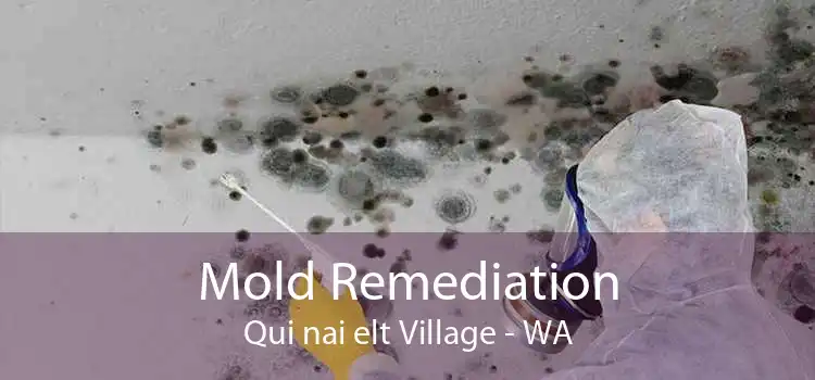 Mold Remediation Qui nai elt Village - WA