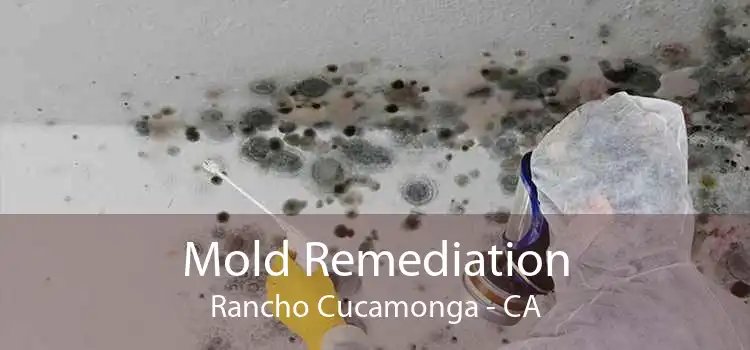 Mold Remediation Rancho Cucamonga - CA