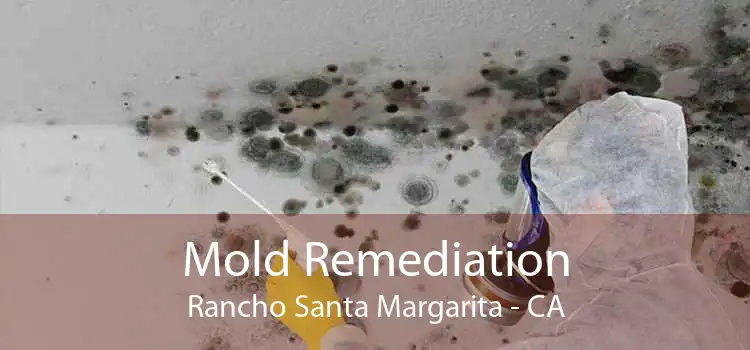 Mold Remediation Rancho Santa Margarita - CA