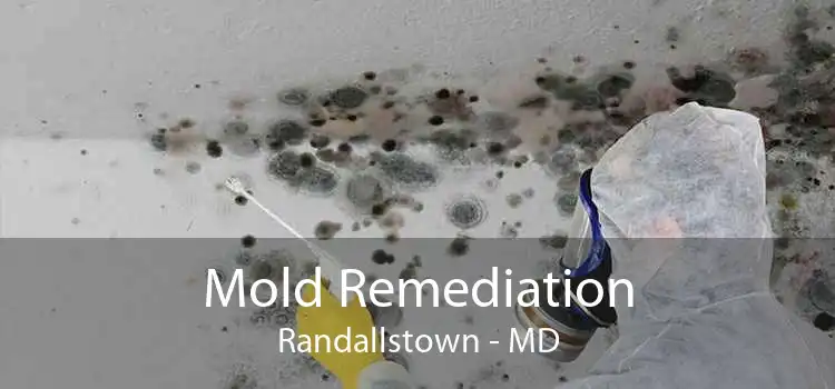 Mold Remediation Randallstown - MD