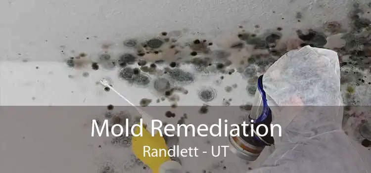 Mold Remediation Randlett - UT