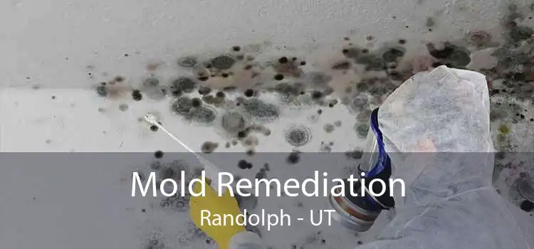 Mold Remediation Randolph - UT