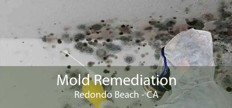 Mold Remediation Redondo Beach - CA