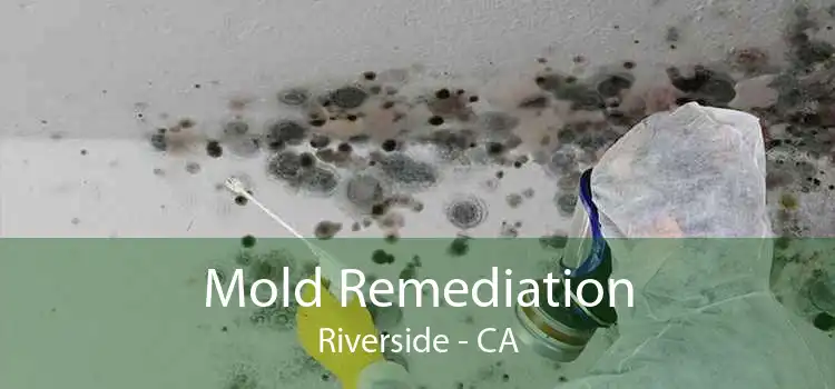 Mold Remediation Riverside - CA