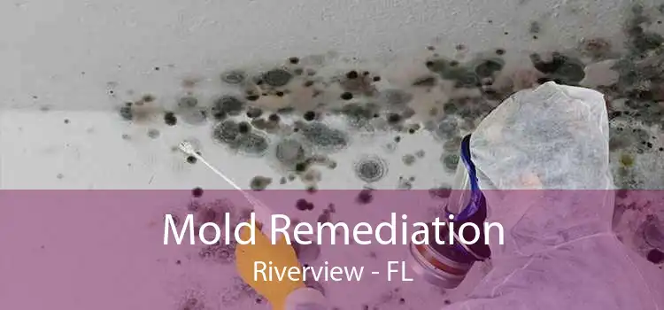 Mold Remediation Riverview - FL