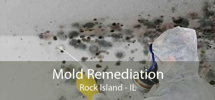 Mold Remediation Rock Island - IL