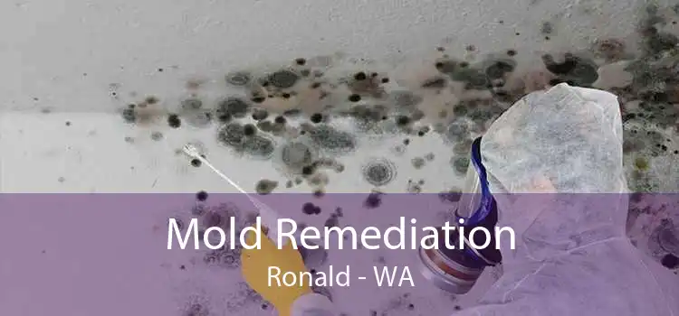 Mold Remediation Ronald - WA