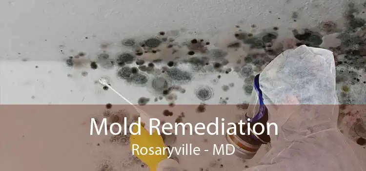Mold Remediation Rosaryville - MD