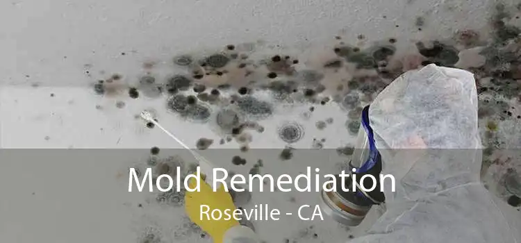 Mold Remediation Roseville - CA
