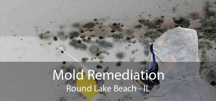 Mold Remediation Round Lake Beach - IL