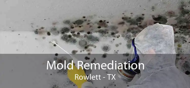 Mold Remediation Rowlett - TX