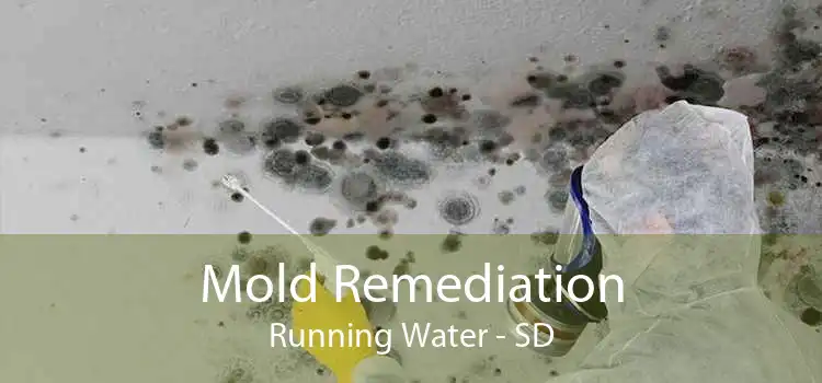 Mold Remediation Running Water - SD