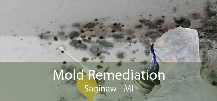 Mold Remediation Saginaw - MI