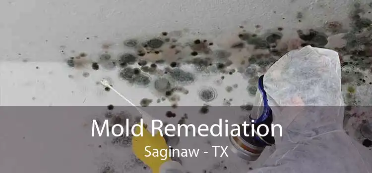 Mold Remediation Saginaw - TX